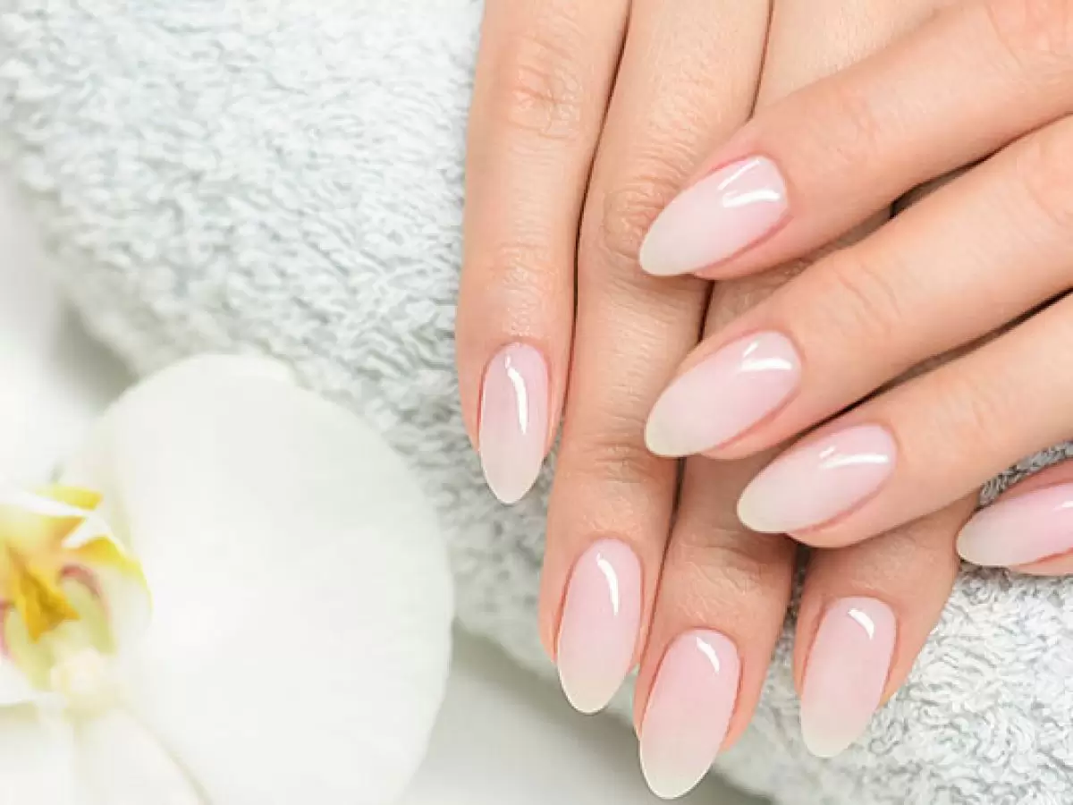 Kumru Protez Tırnak